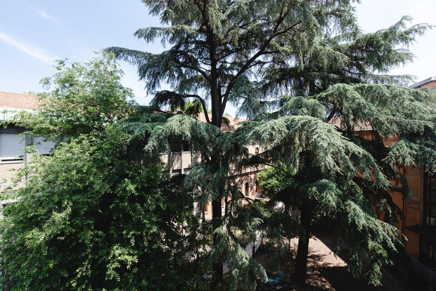 La Favolosa Casa Di Amelie Bolonia Exterior foto